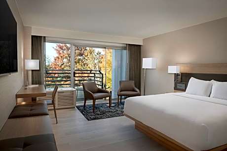 Standard King Room with Sofa Bed