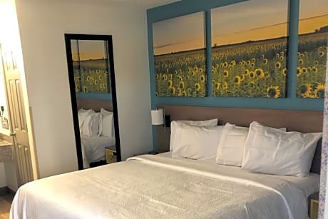 1 King Bed Non-Smoking