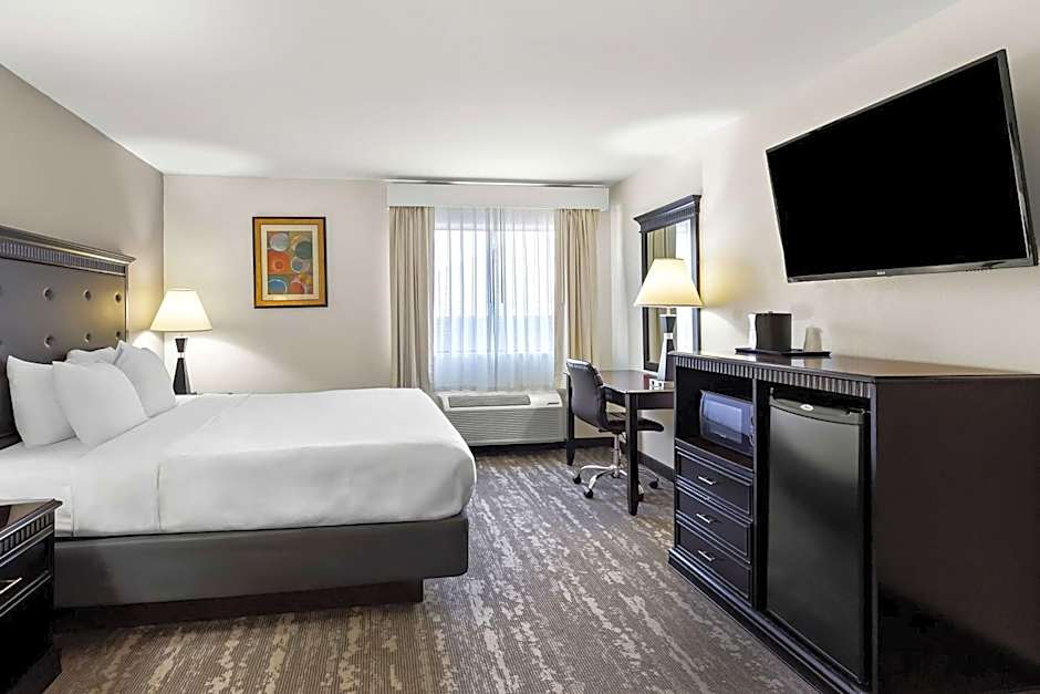Best Western Saluki Inn