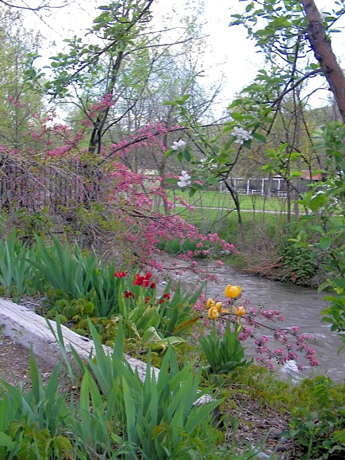 Riverside Hot Springs Inn & Spa - Adults Only