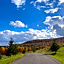 August Lodge Cooperstown