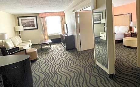 Deluxe King Suite