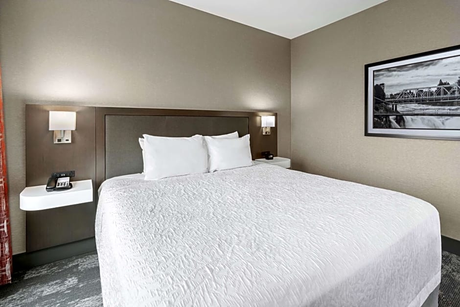 Hampton Inn By Hilton & Suites Spokane Downtown-South