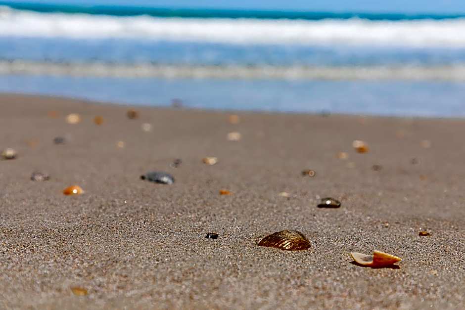 Beachside Hotel and Suites