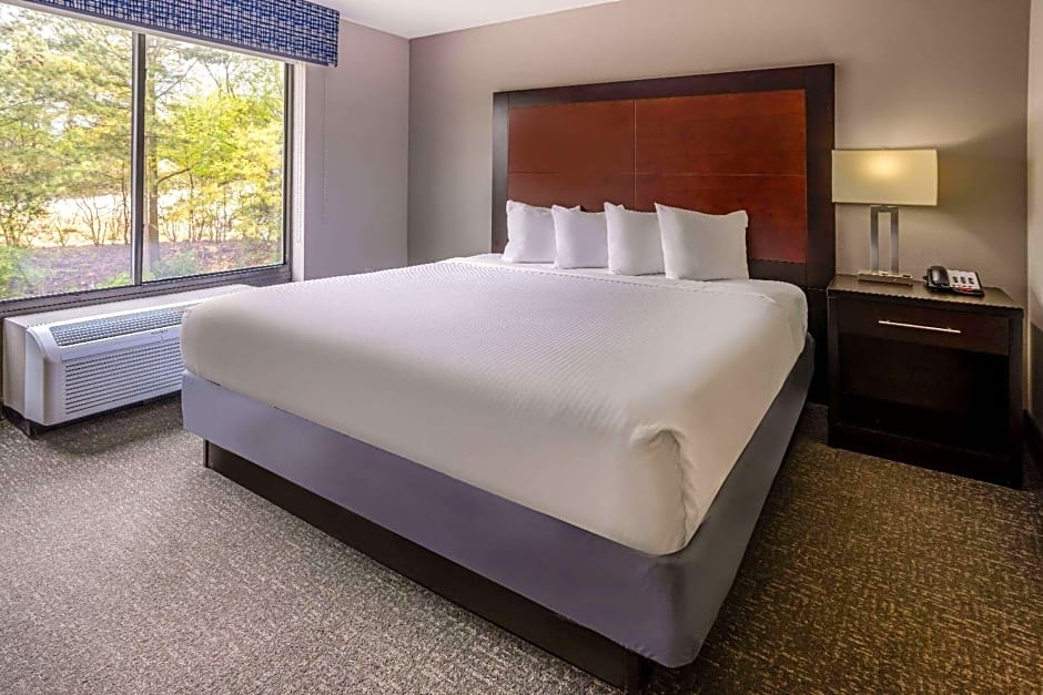 Wingate By Wyndham Atlanta Galleria Center