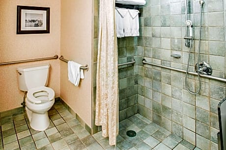 1 King Mobility Hearing Accessible Roll In Shower