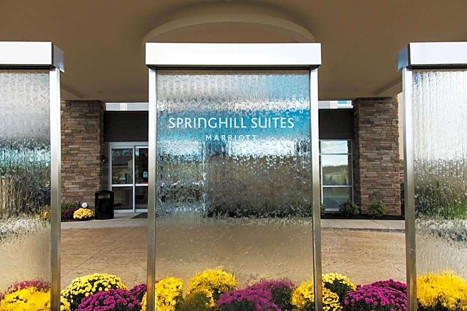 SpringHill Suites by Marriott Somerset Franklin Township