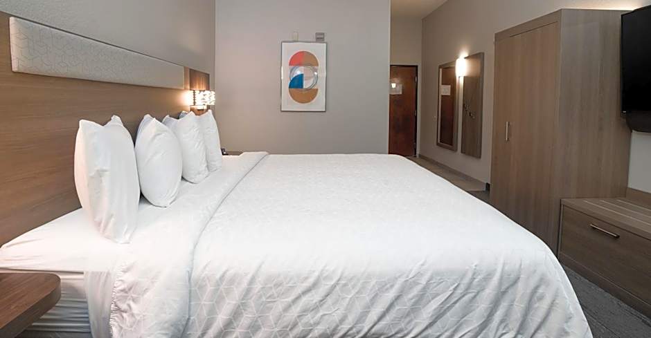 Holiday Inn Express Hotel & Suites Orange City