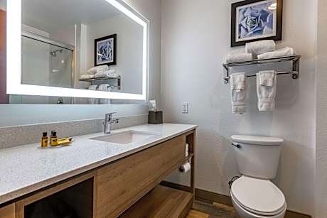 Accessible - 1 King  Mobility Accessible Communication Assistance Bathtub Larger Room Microwave And
