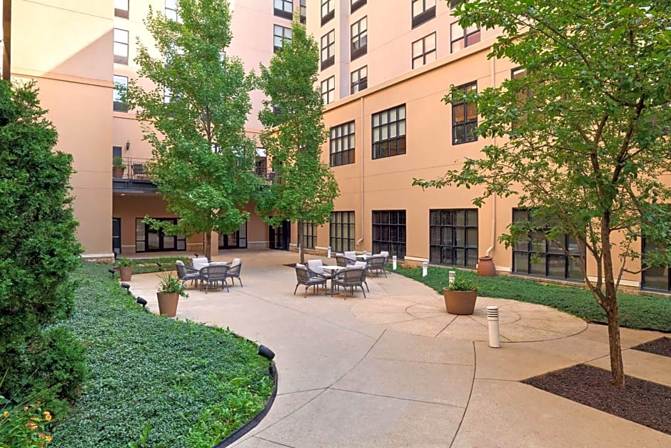 A Guide to Hilton Hotels Pet Policy What You Need to Know — Romingo