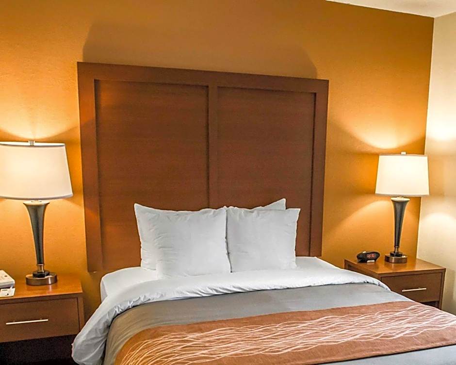 Comfort Inn At The Park