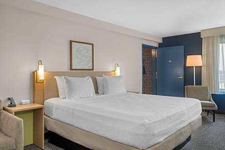 King Room with Sofa Bed - Non-Smoking