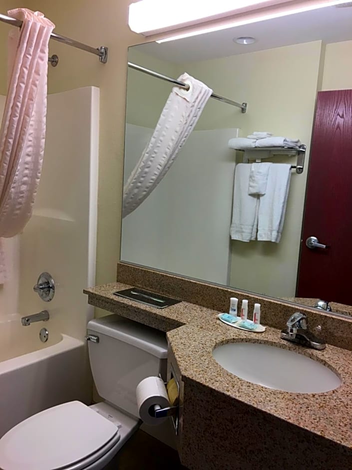 Microtel Inn & Suites By Wyndham Indianapolis Airport