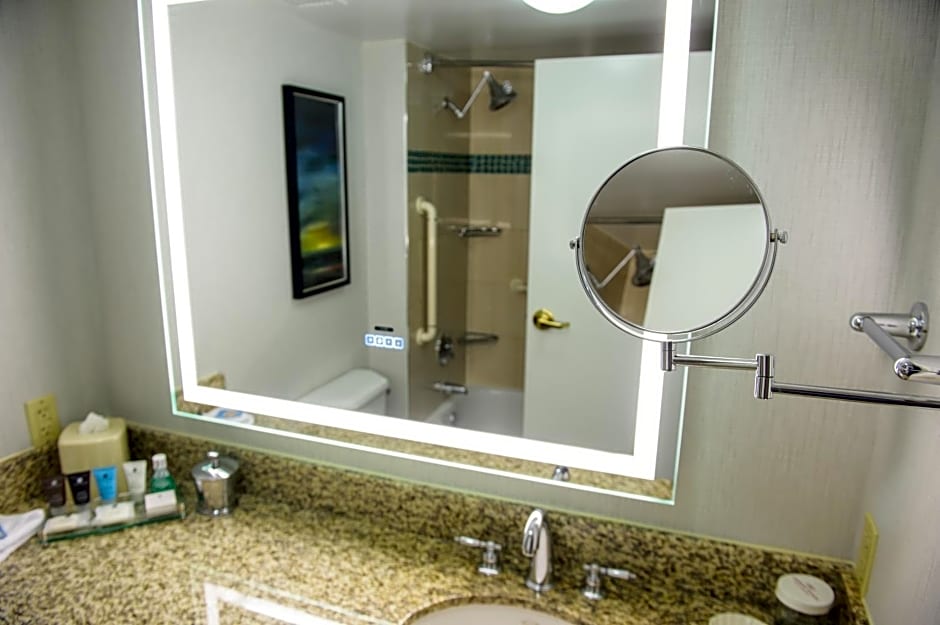Crowne Plaza Dulles Airport