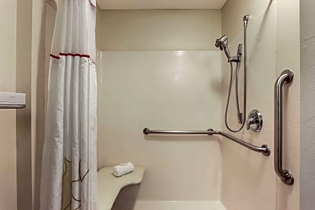 1 King Bed, Efficiency, Suite, Nonsmoking, Accessible