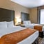Comfort Suites Near Sam Houston Race Park