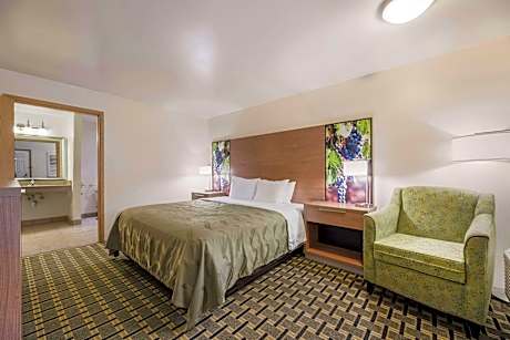 1 King Bed Nonsmoking Accessible