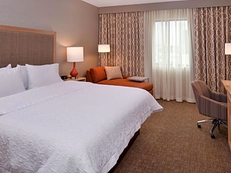 King Room - Mobility Accessible/Non-Smoking