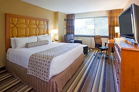 1 King Bed Standard