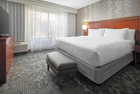 Room, 1 King Bed with Sofa bed (Hearing Accessible) (1 King Bed and 1 Double Sofa Bed)
