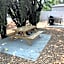 Clearlake Cabins
