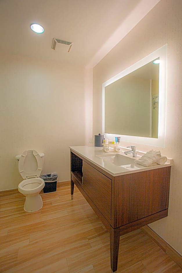 Holiday Inn & Suites Houston North-Spring Area