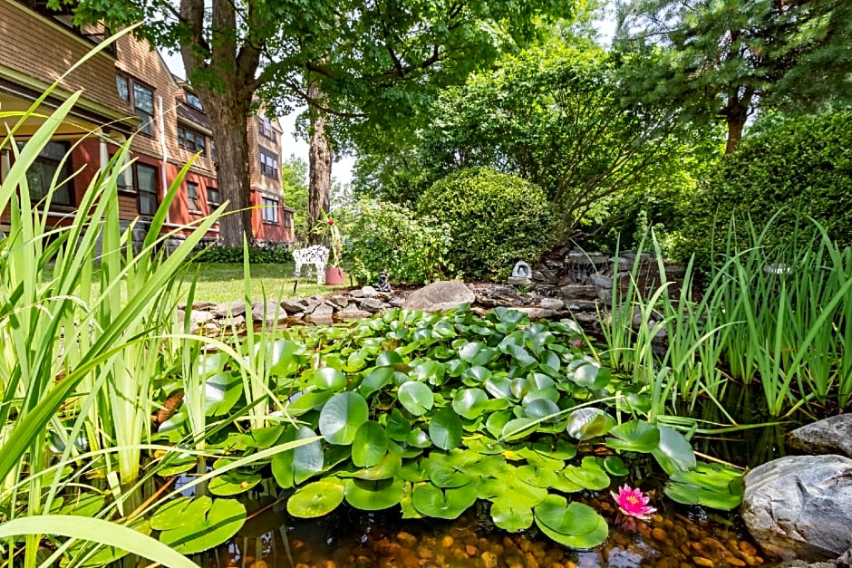 Saratoga Dreams Bed and Breakfast
