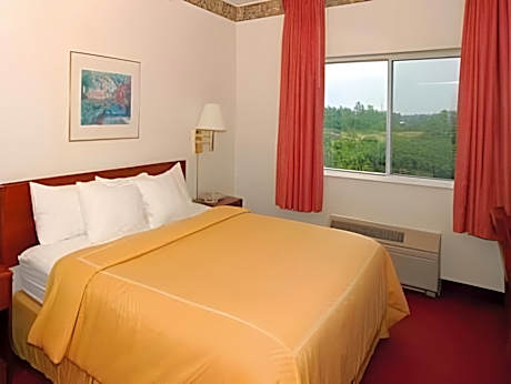 1 Bedroom King Suite