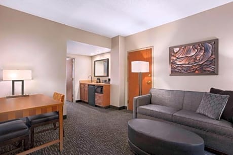 2 Room Suite-1 King Bed-Nonsmoking