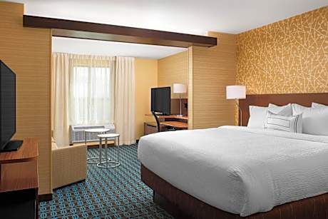 Suite, 1 King, Sofa bed