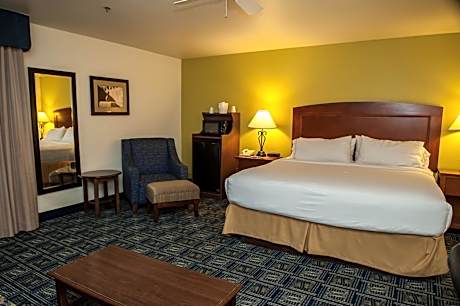 Standard King Room with Sofa Bed