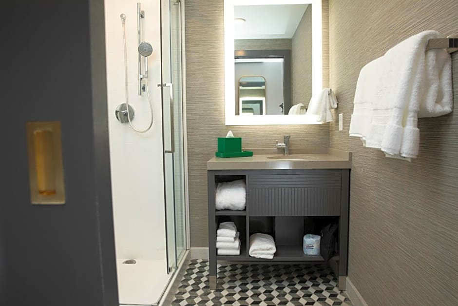 Hotel Indigo - St. Louis - Downtown