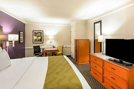 King  Room - Accessible/Non-Smoking
