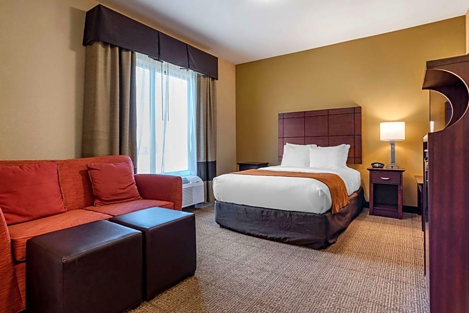 Comfort Suites Airport South