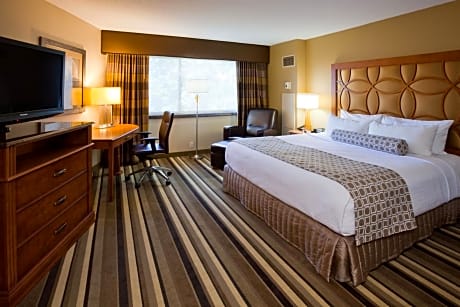 1 King Bed Standard
