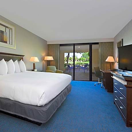 King Room with Roll-in Shower