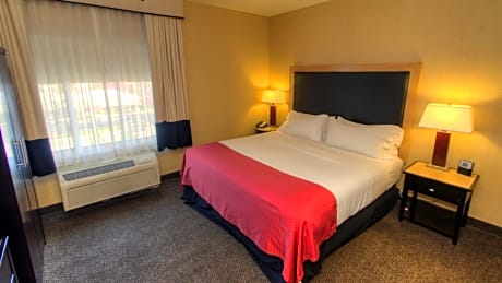 1 Bedroom Suite 1 King