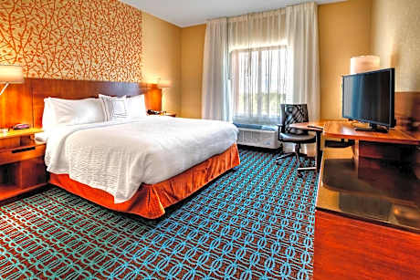 Room, 1 King Bed