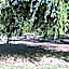 Clearlake Cabins