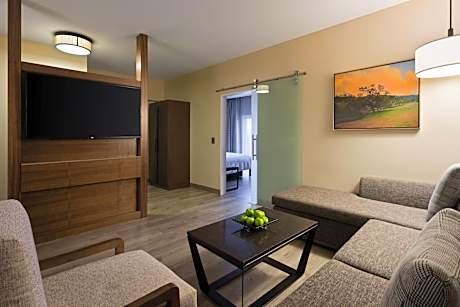 One-Bedroom King Suite with Spa Bath