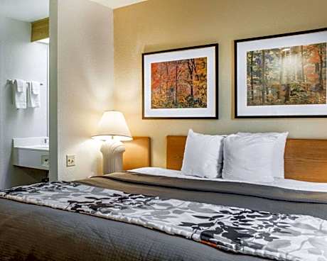 1 King Bed, Nonsmoking, Accessible