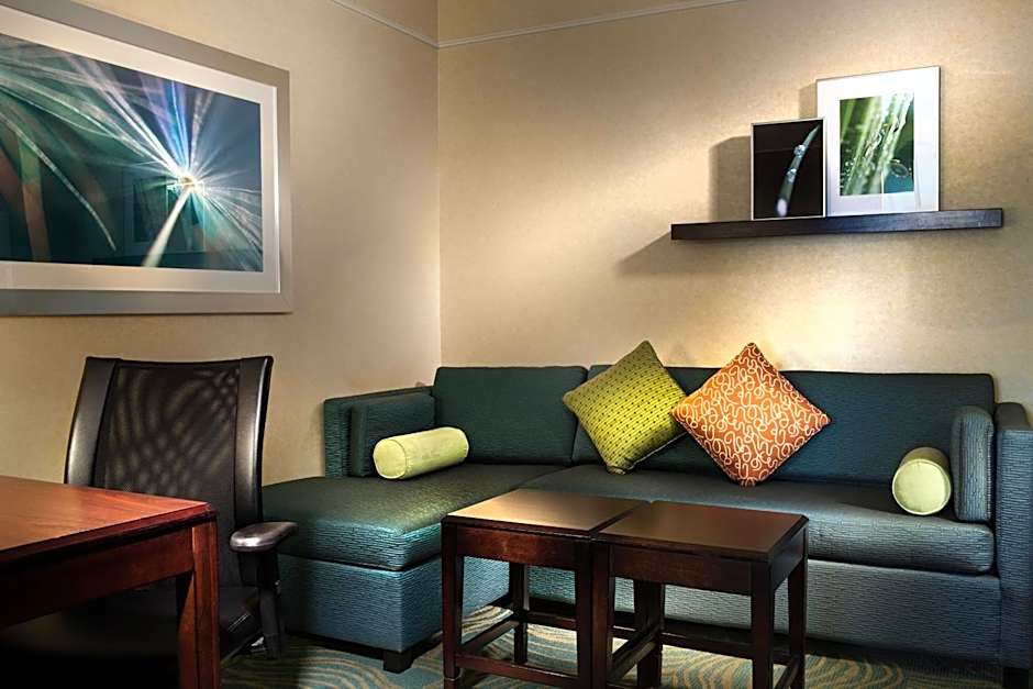 SpringHill Suites by Marriott Dallas DFW Airport North/Grapevine