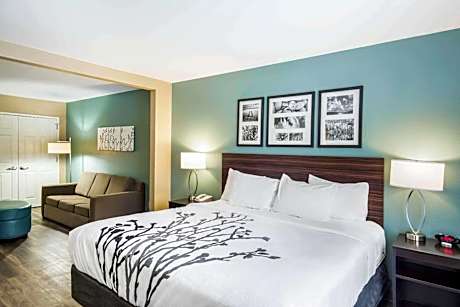 1 King Bed, Suite, Nonsmoking