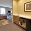 Hampton Inn By Hilton Snyder Tx