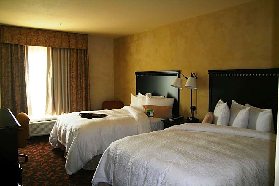 Hampton Inn By Hilton & Suites Dallas-Arlington North-Entertainment Dist.