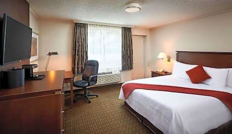 Queen Room - Ground Floor/Non-Smoking