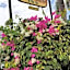 DOWNTOWN Hawaiian Theme Condo with Hot Tub, Pool & Beach - Kona Islander Inn