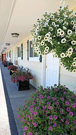 Sunset Motel at Armand's Gardens