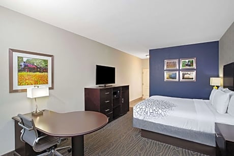 1 King Bed Limited View Non-Smoking