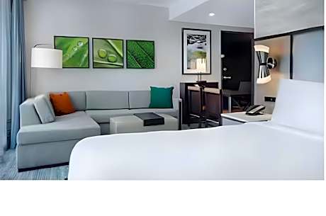King Studio Suite